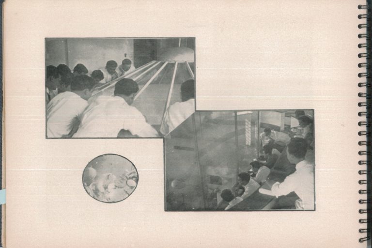 historia24