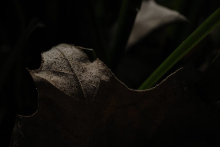 oct138